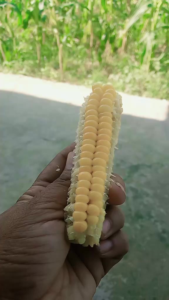 @लुरि कवि