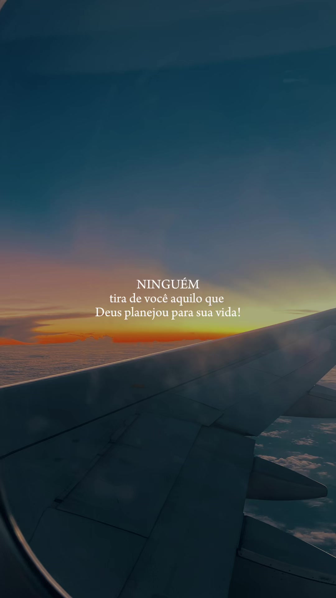 @Camale&atilde;o69🦎