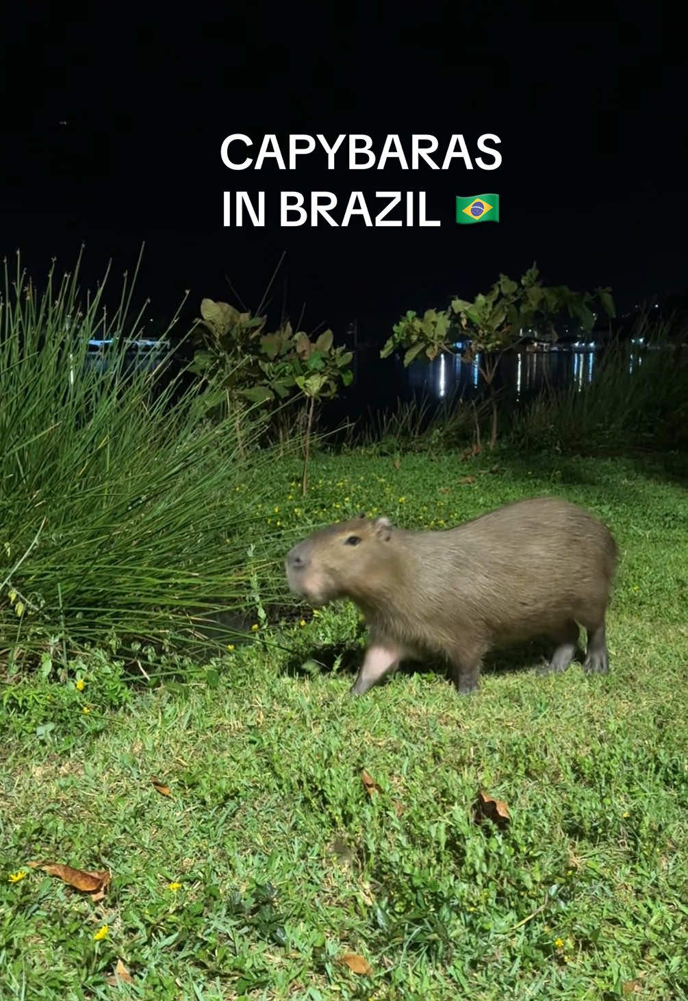 IG: TimAndGui (@timandgui) - Urlebird