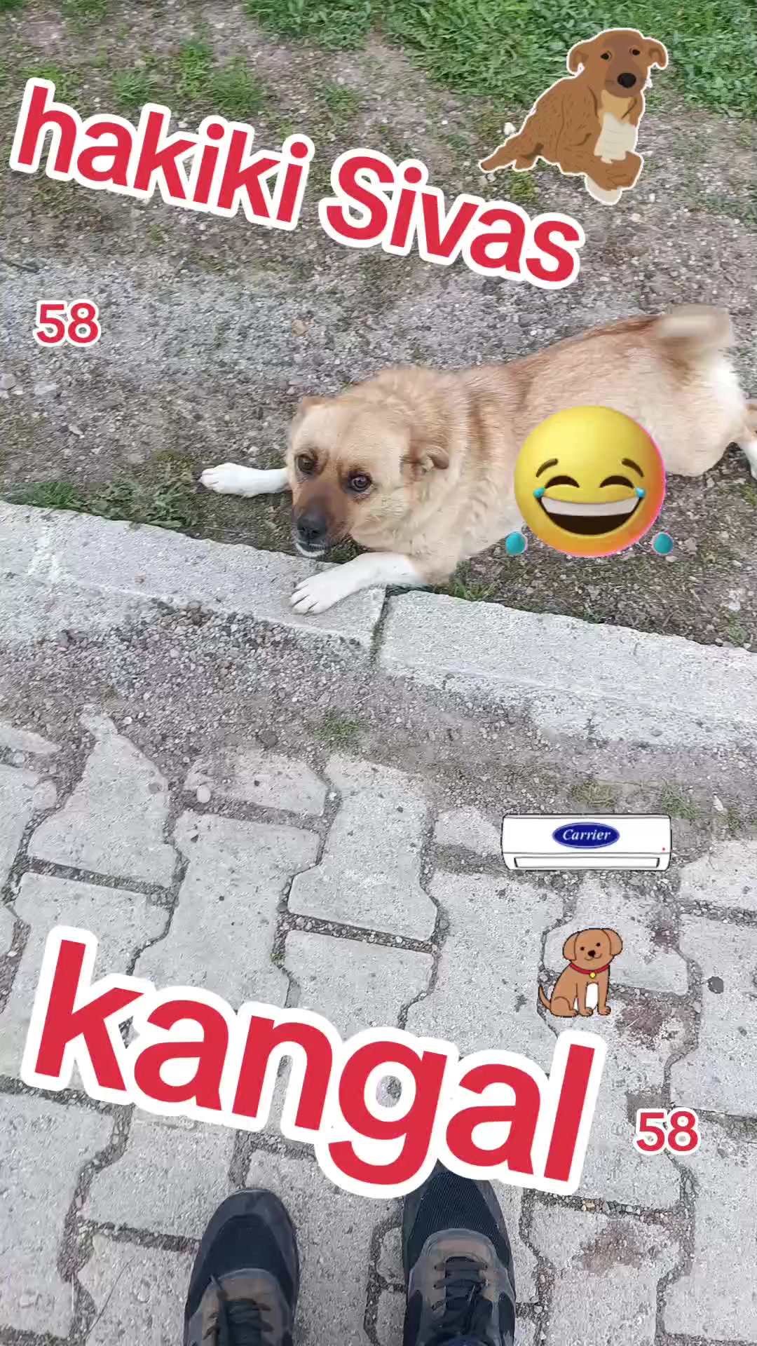 @Umut Şeker 58