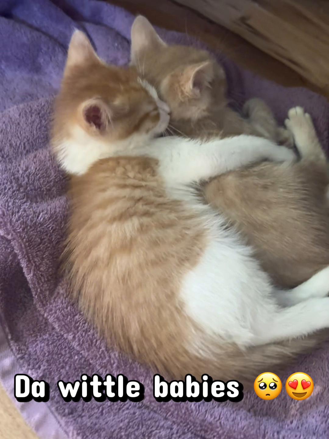 @_rxntay_