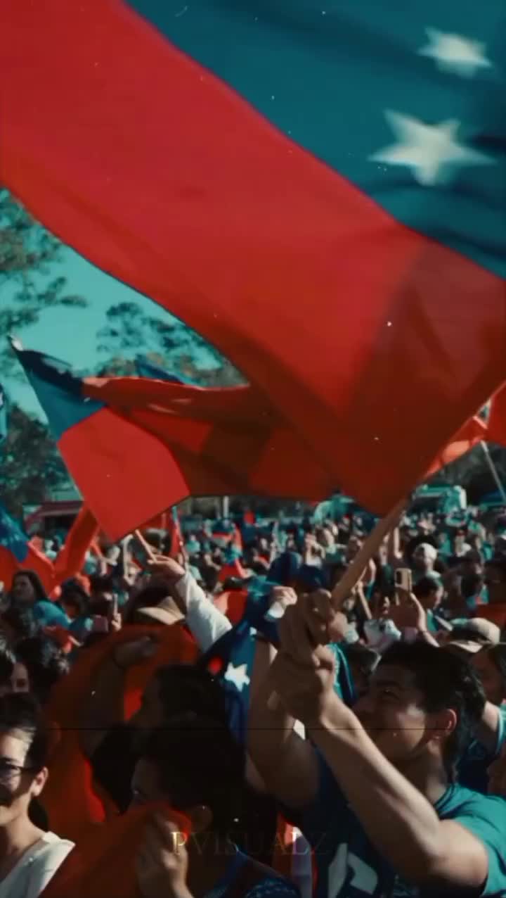 @pvisualz