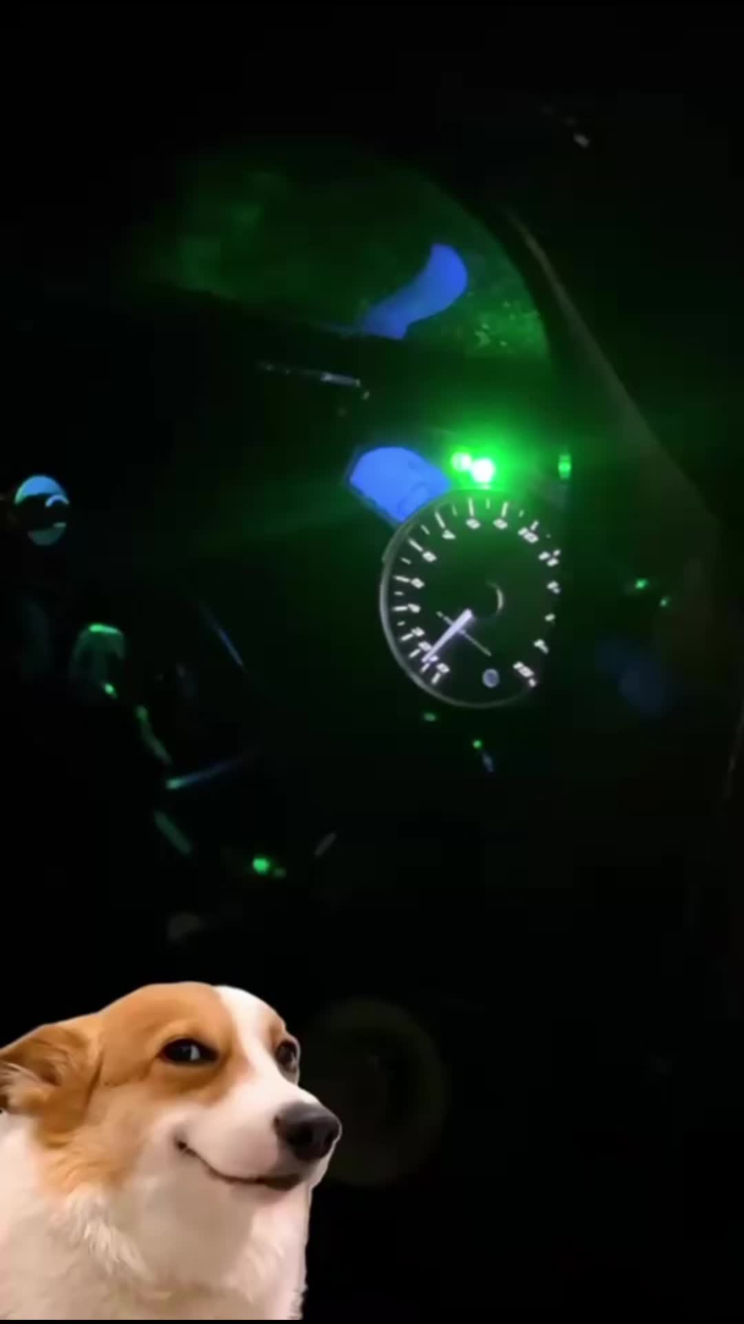 @Rocketkiller101