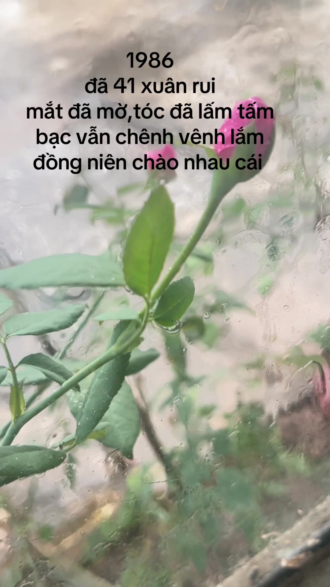 @Mỹ phẩm Tóc86