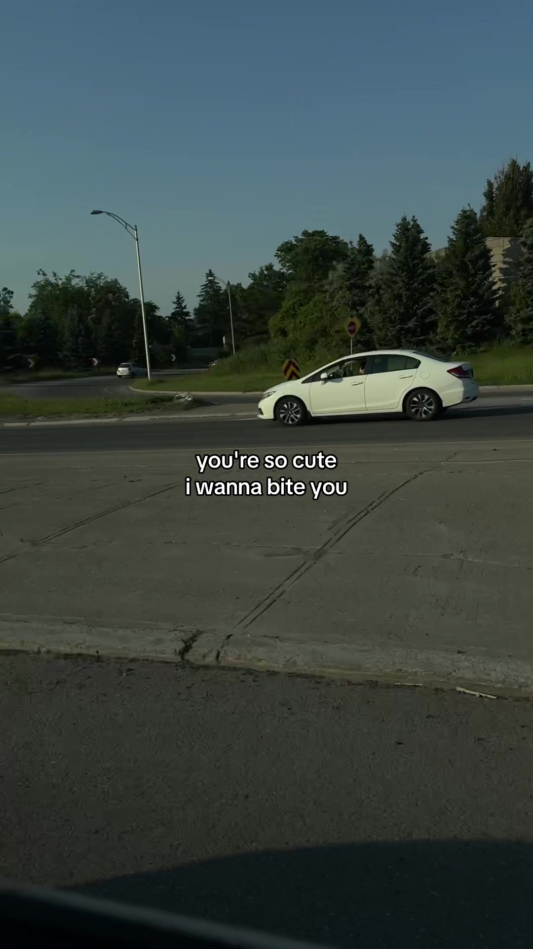 @alive🌷