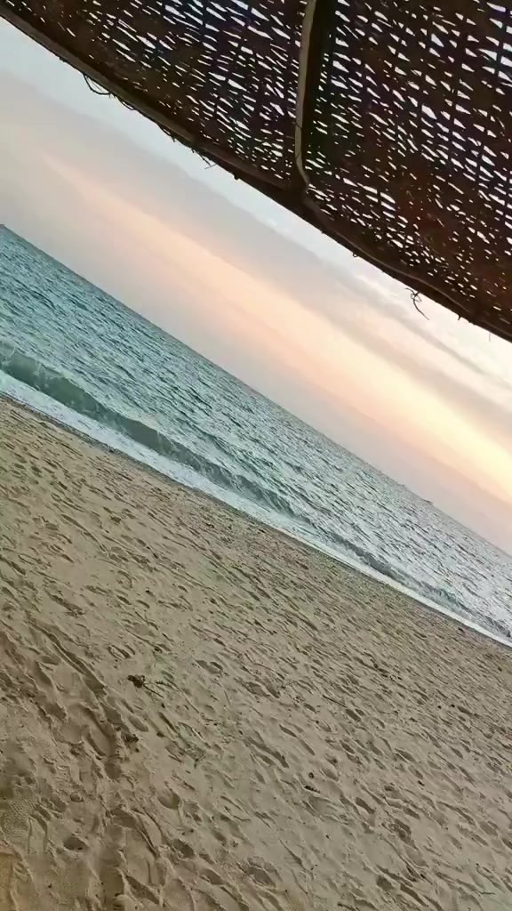@Basha Masr ๐