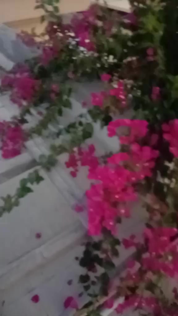 @Ameliafutri47
