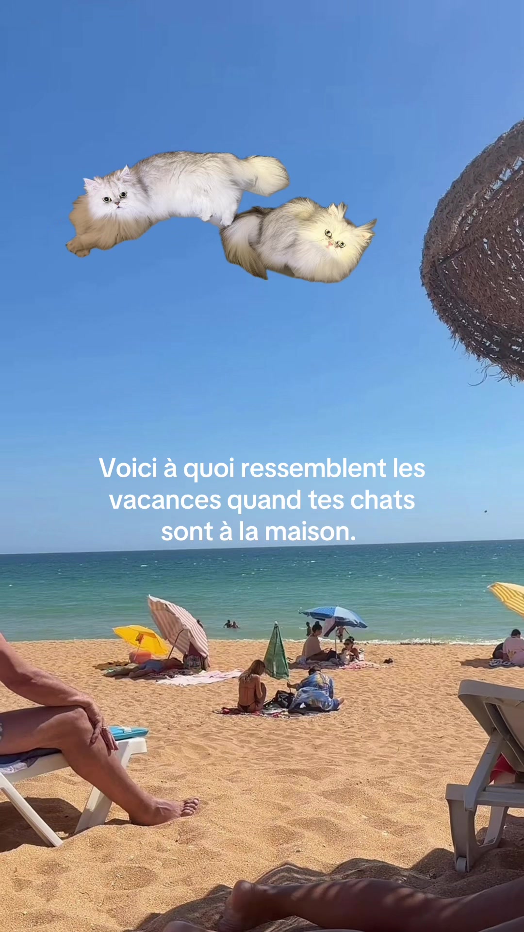 @bonjourflorian
