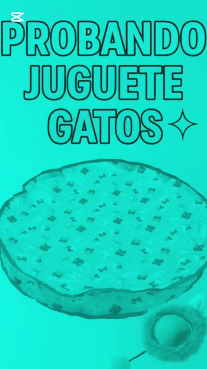 @friducha