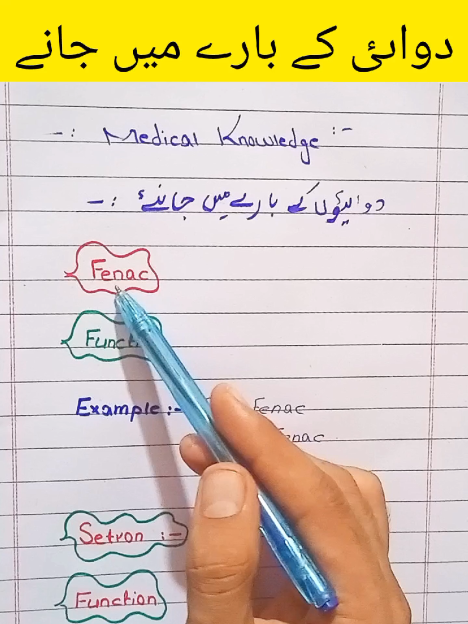 @Knowledge ✍️