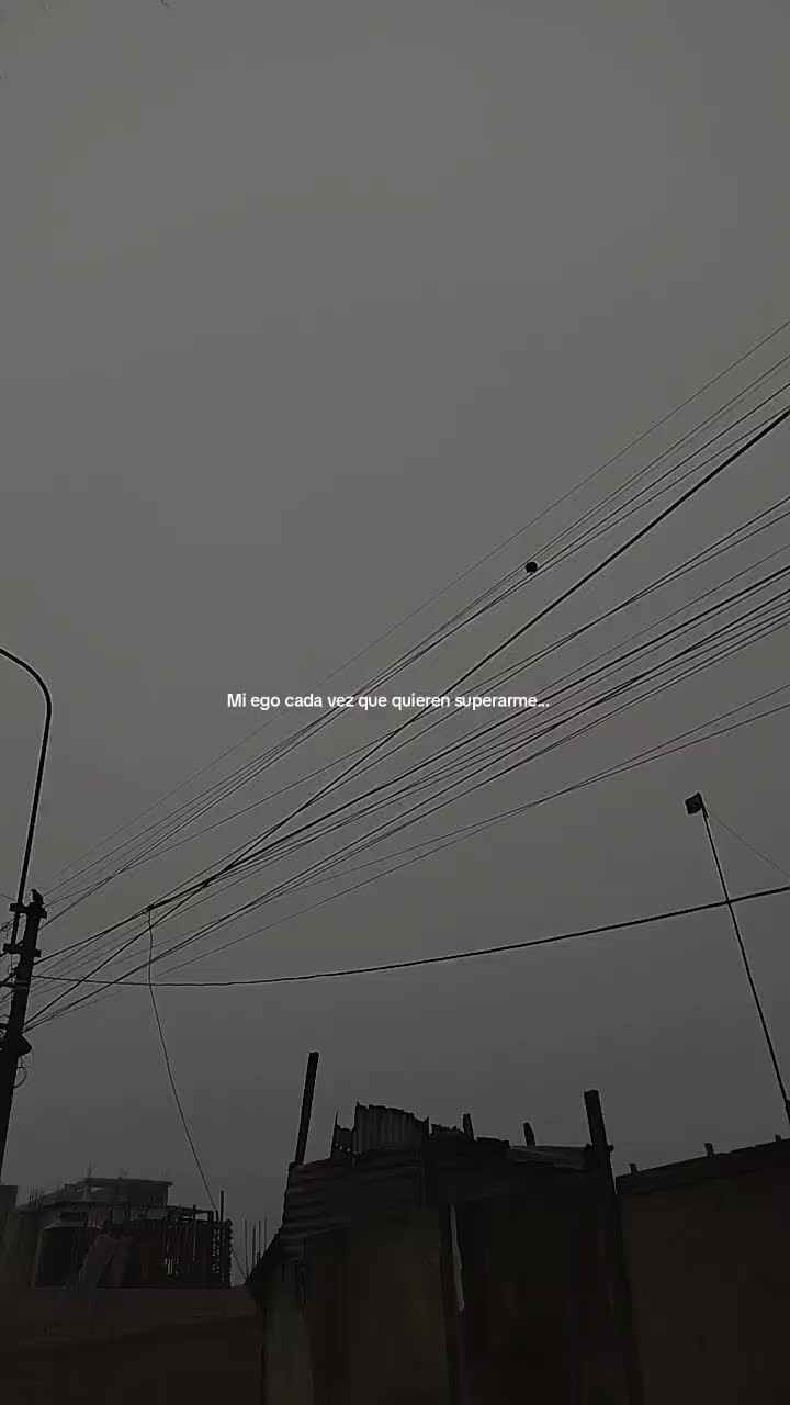 @🕷️