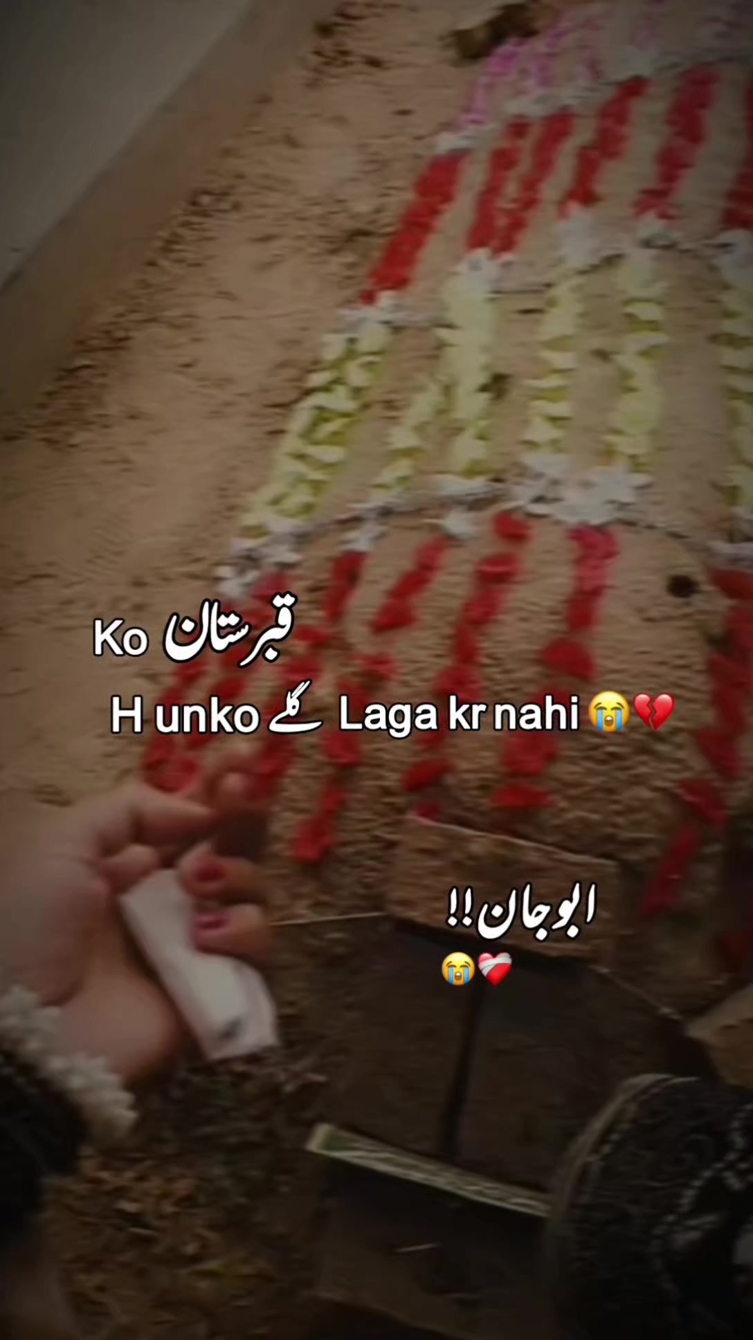 @˚🅵️🅰🅷 𝐑𝐄𝐁𝐀🧸⃟🌷˚