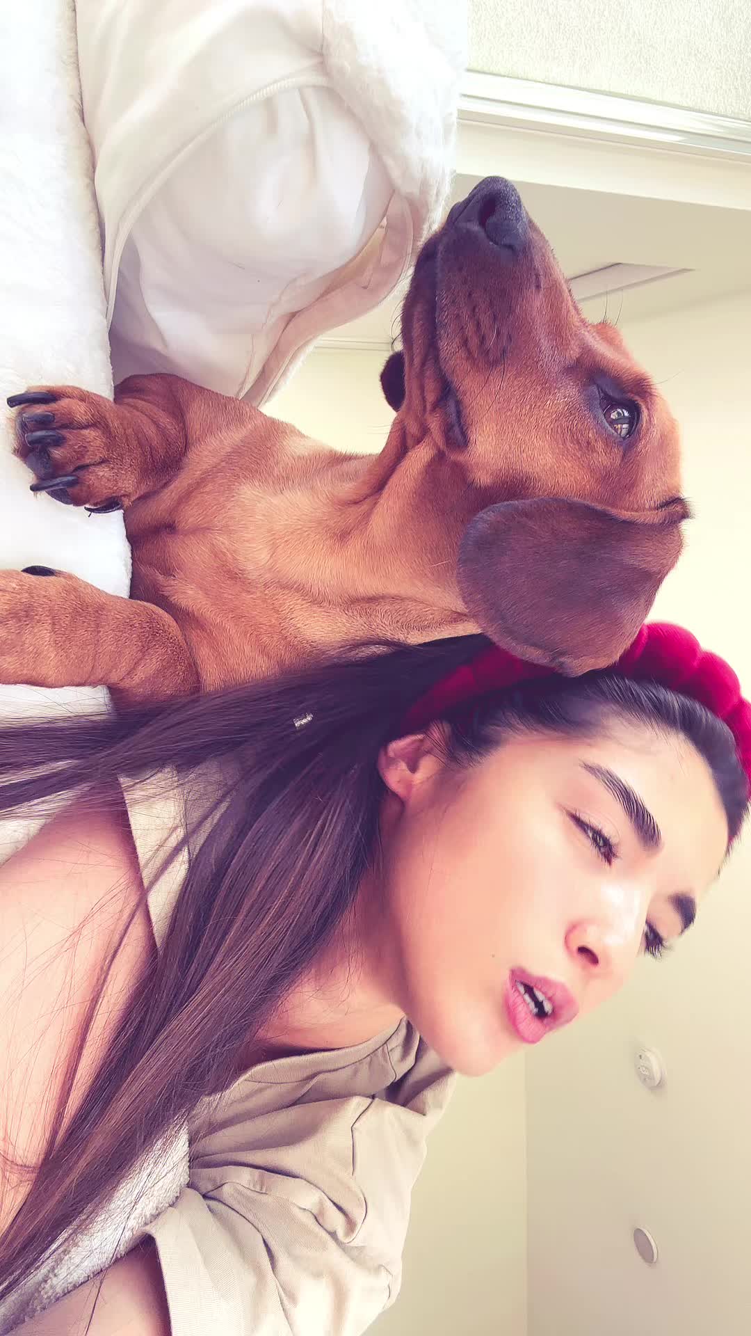 @amitmizrachixspam