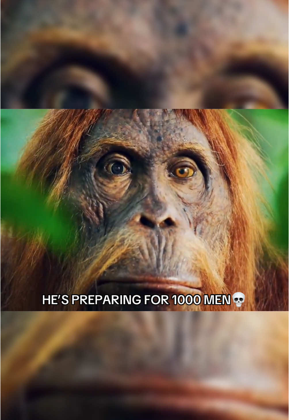 @wonderloopsvideo