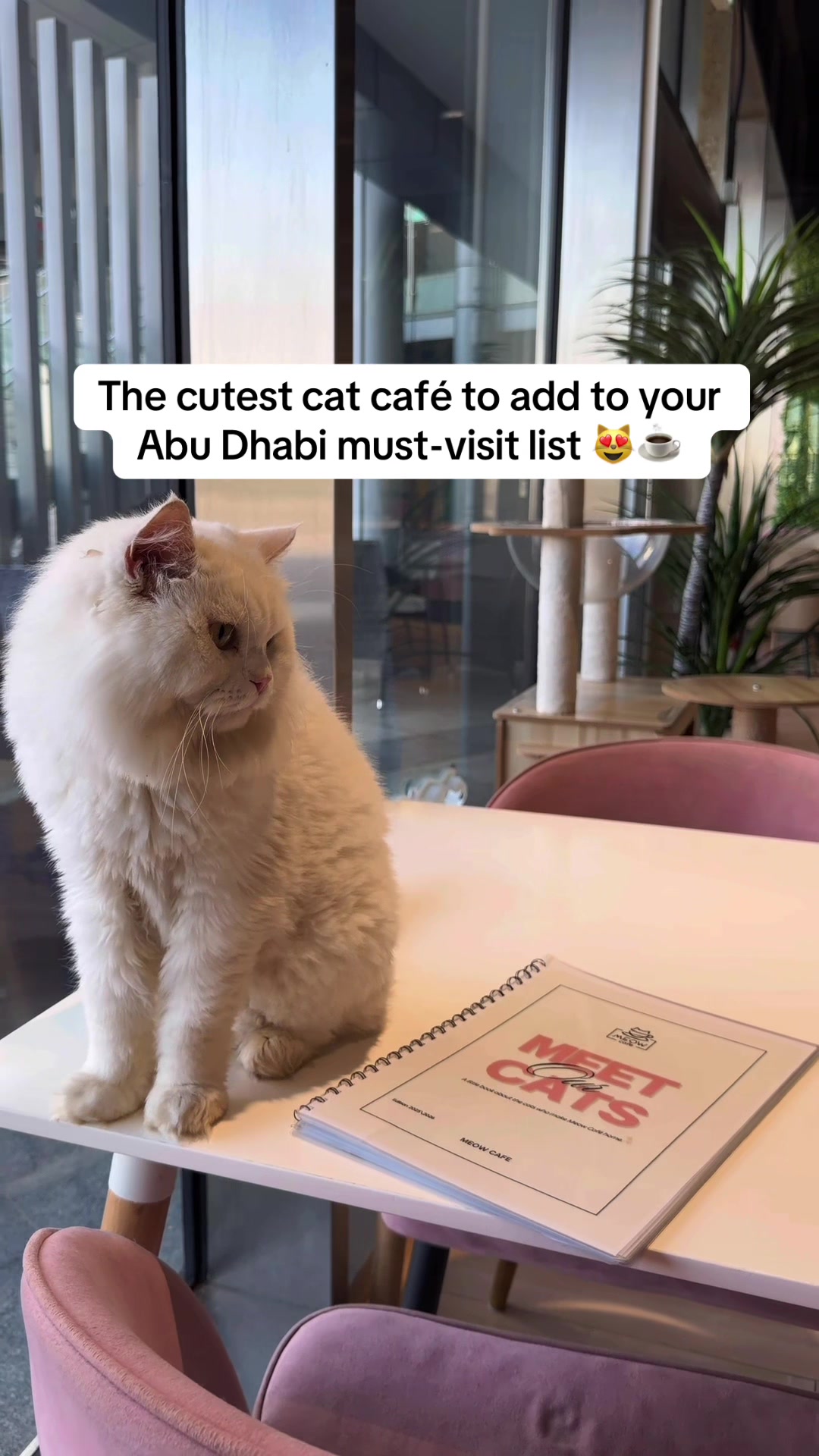 @Yalla Abu Dhabi
