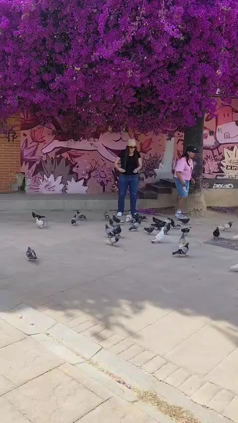 @vidabalbuena 🇳🇱🇪🇦