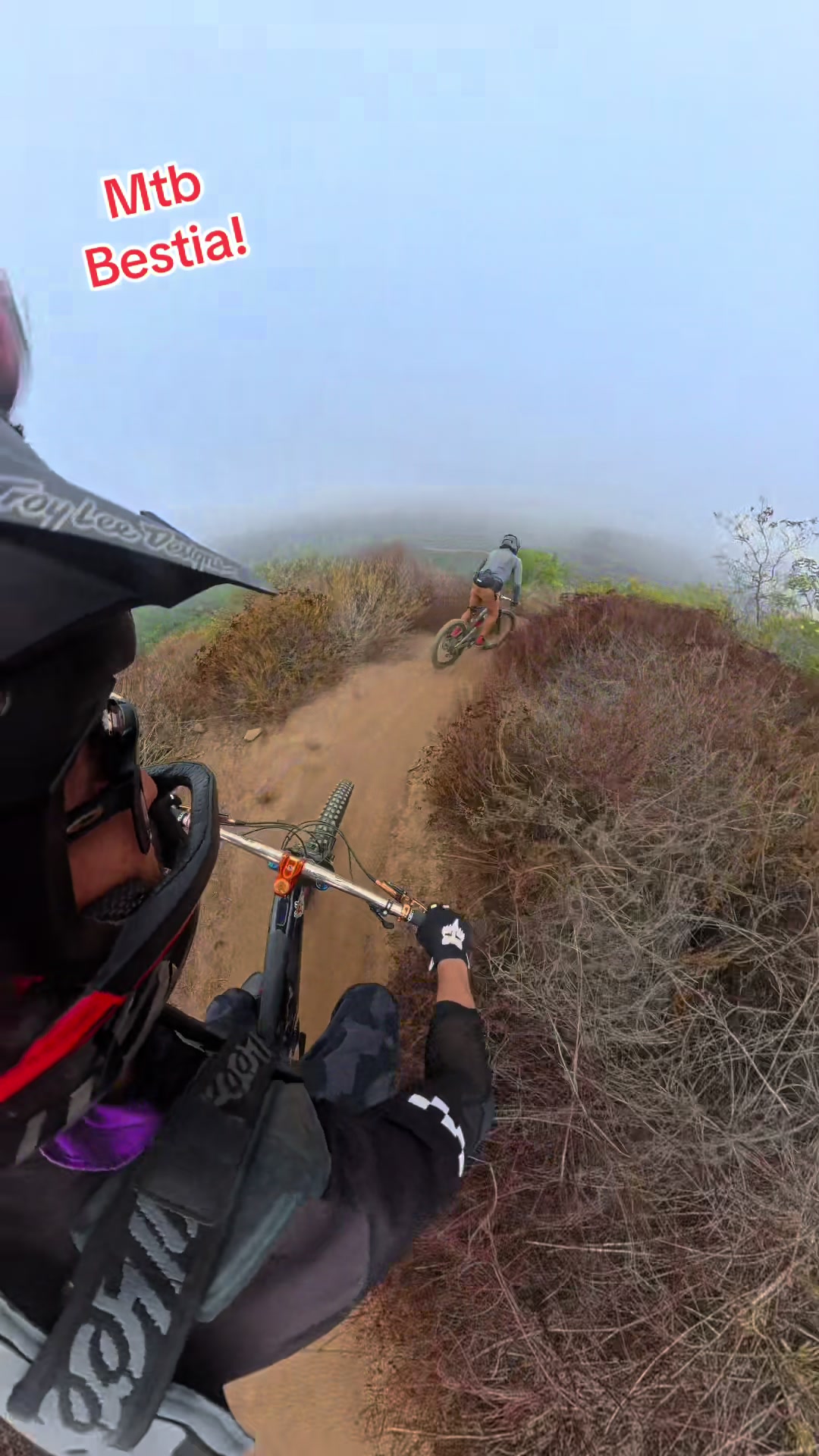 @Mtb BESTIA!