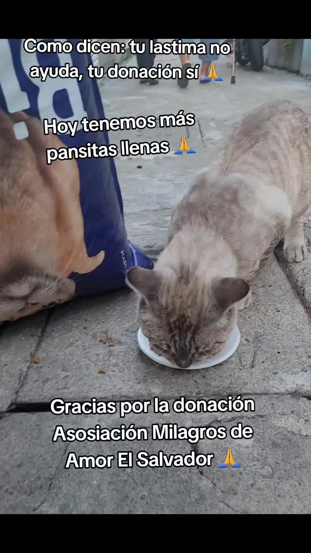 @𝕃𝕚𝕤𝕤 ℝ𝕖yes🇸🇻