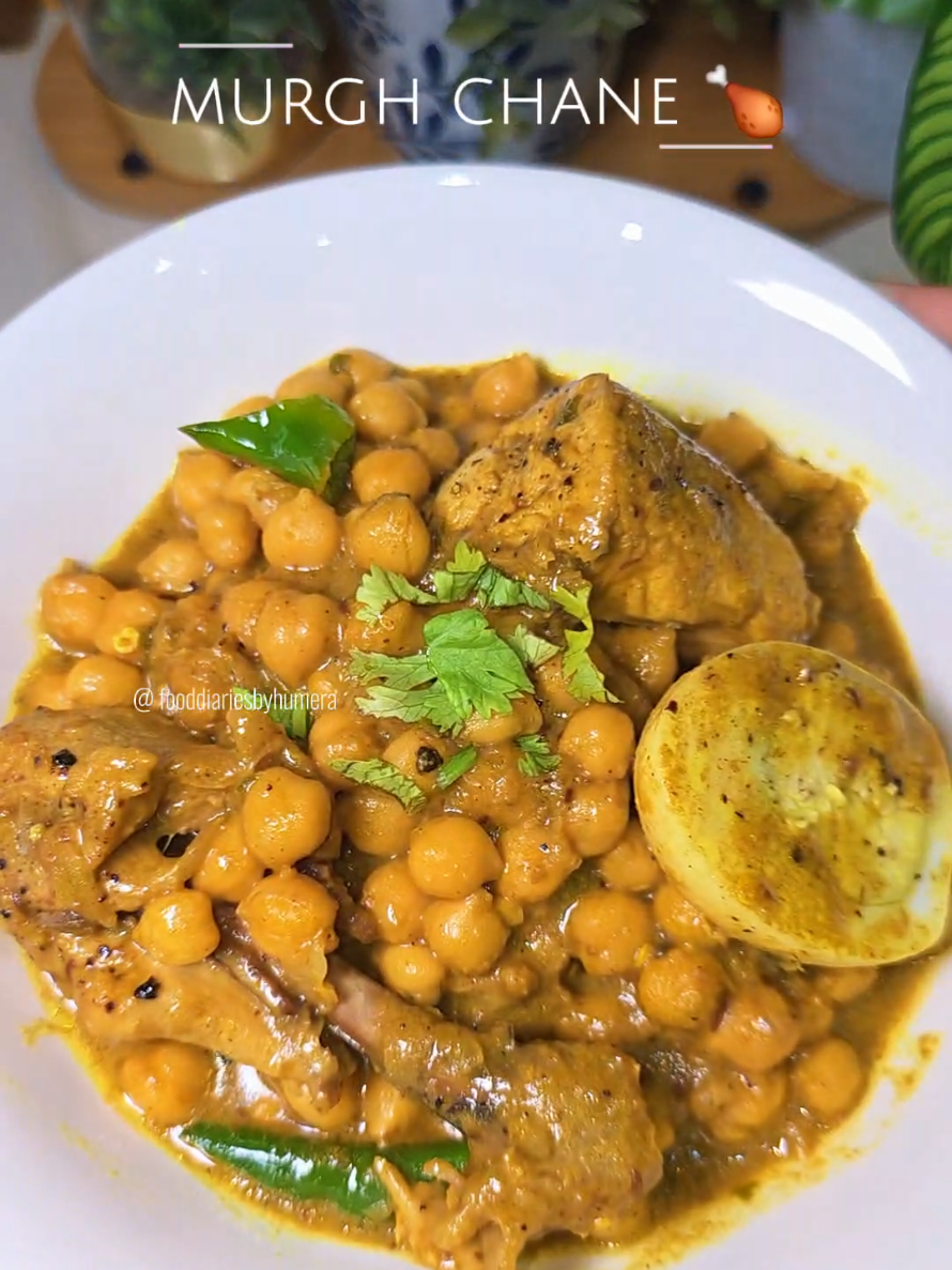 @fooddiariesbyhumera