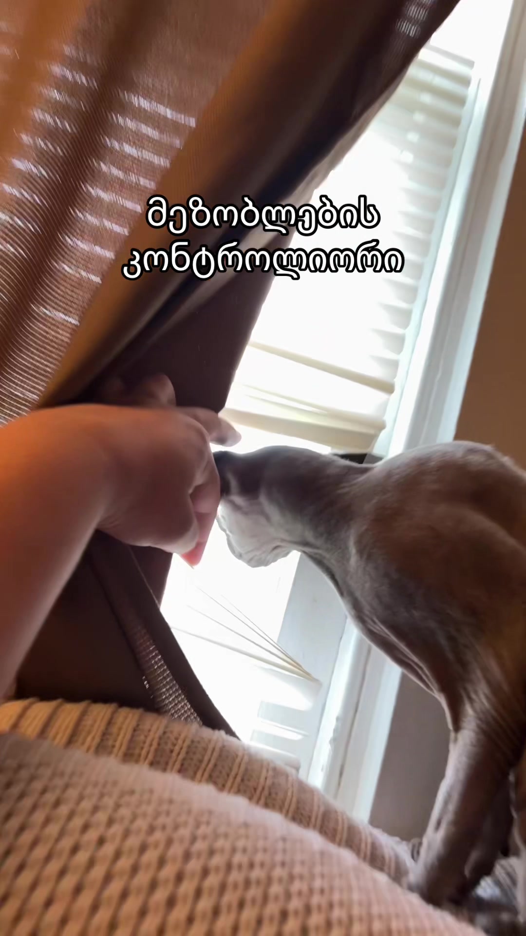 @_ing4_