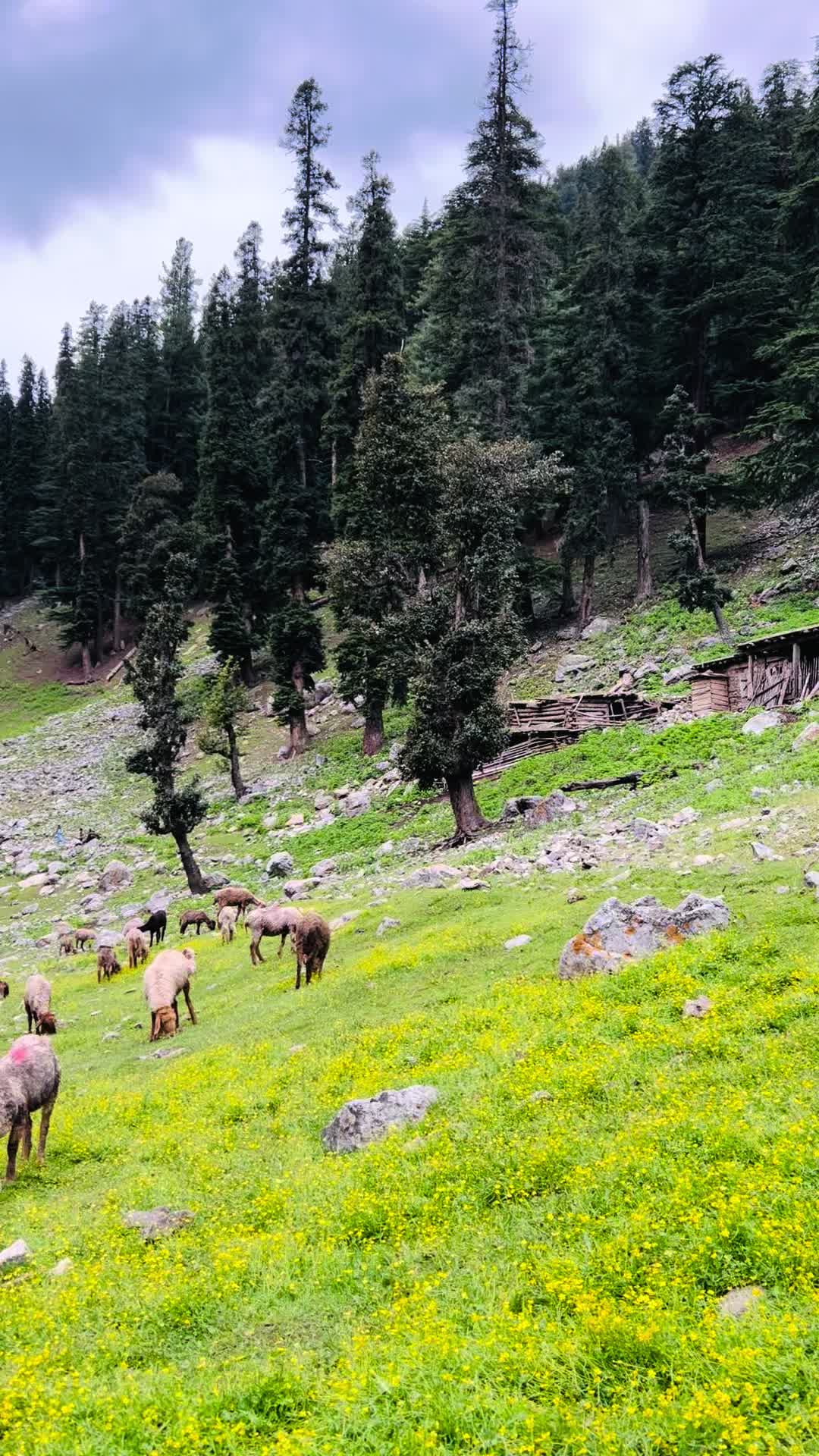 @Swat Valley