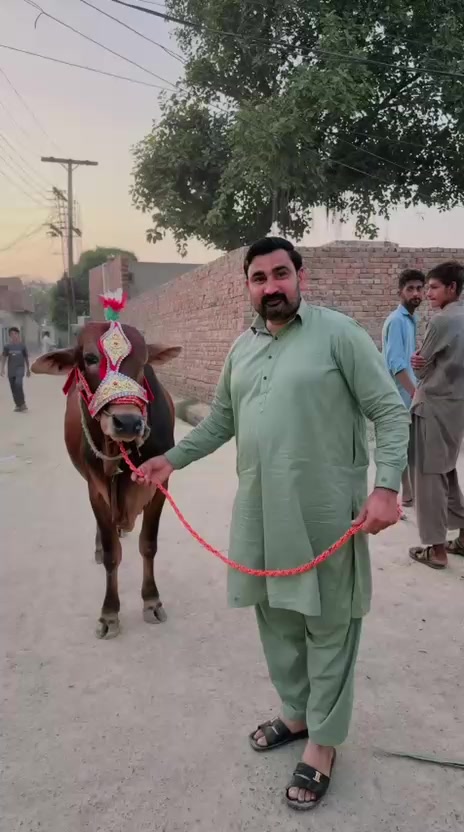 @Stylish DoGaR 💕