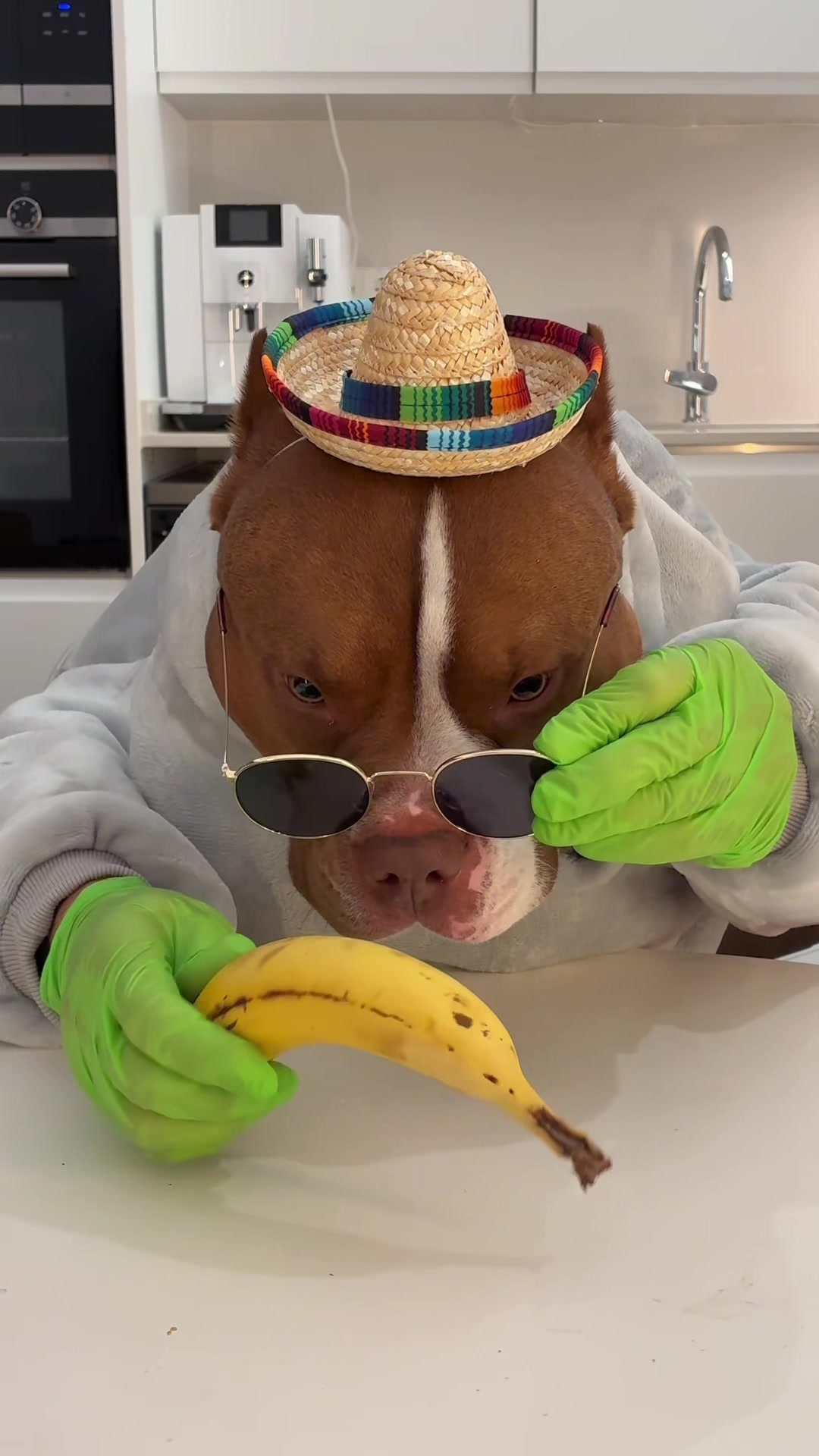 @Chocodogger