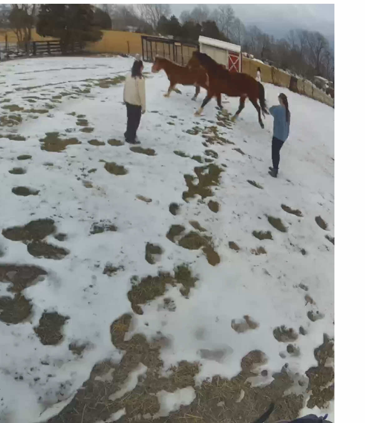 @FeralFarm