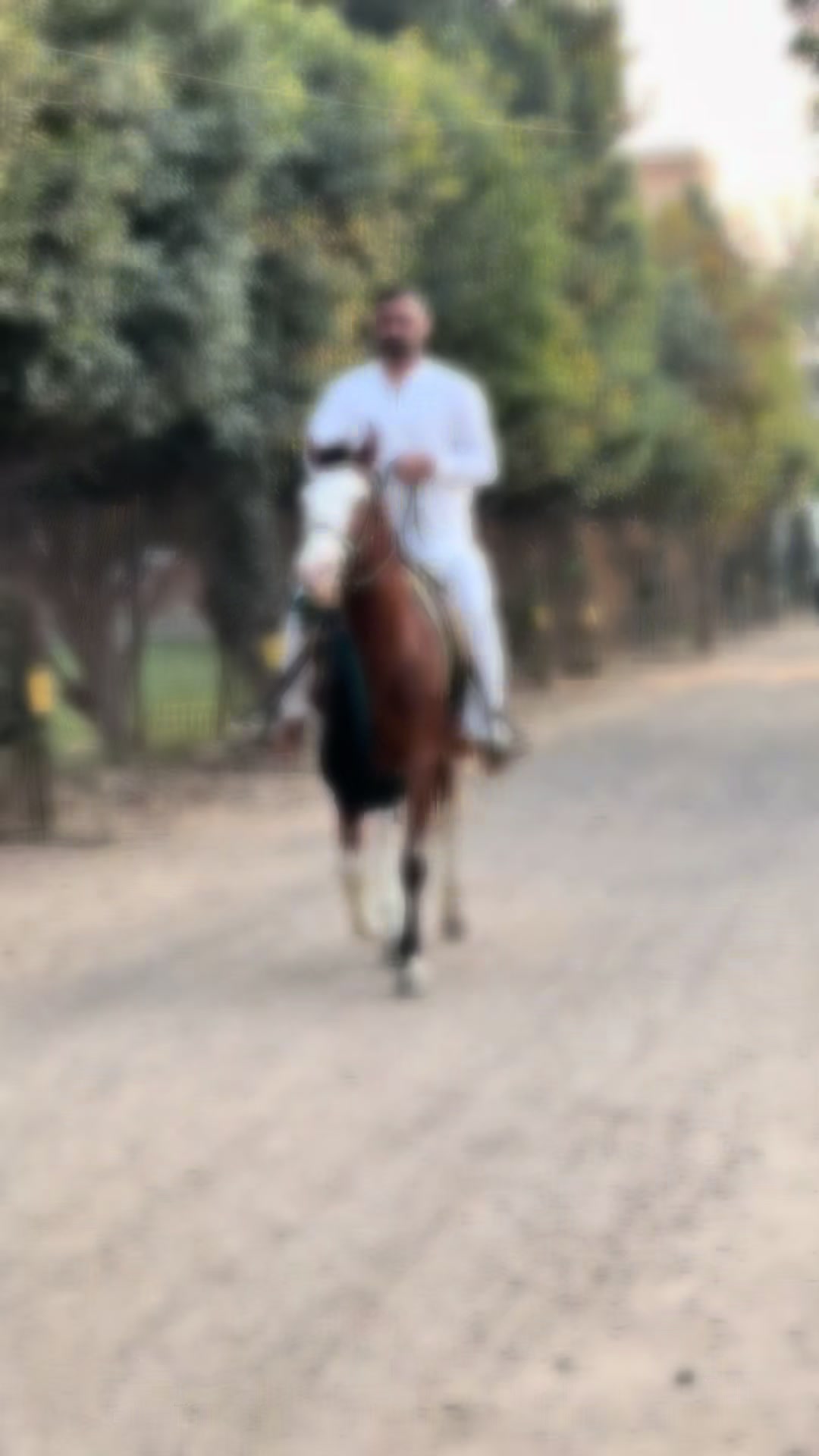 @tahir.ahmad500