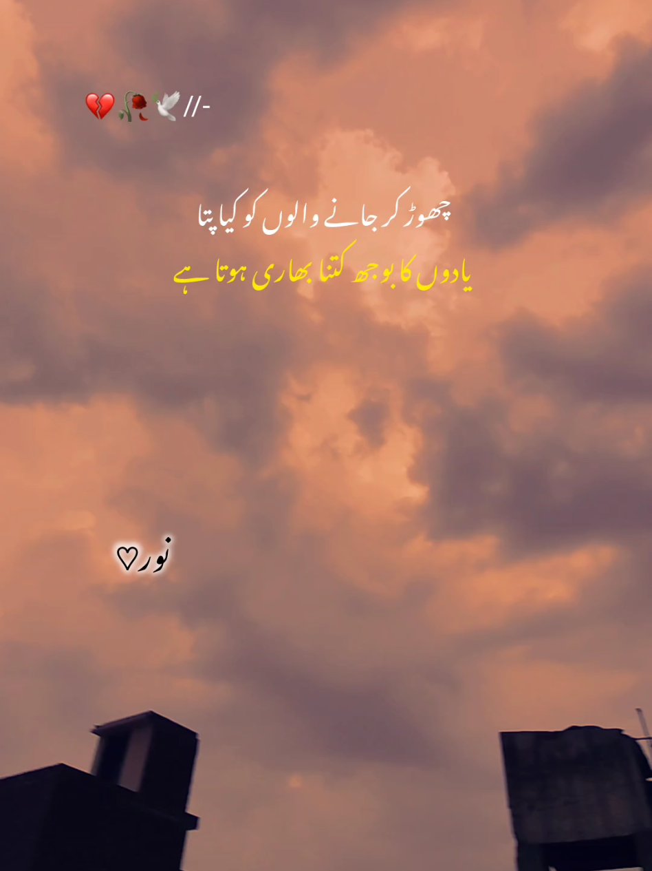 @𝐍𝐎𝐎𝐑 ♡
