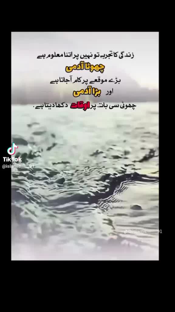 @ariba.bhatti