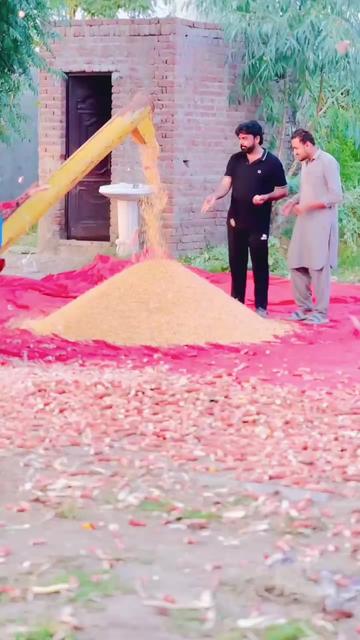 @چوہدری زین نواز بھٹی