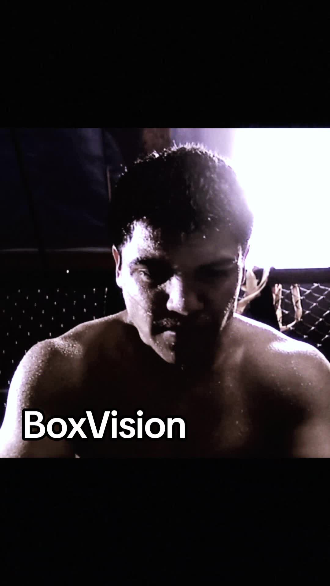@BoxVision