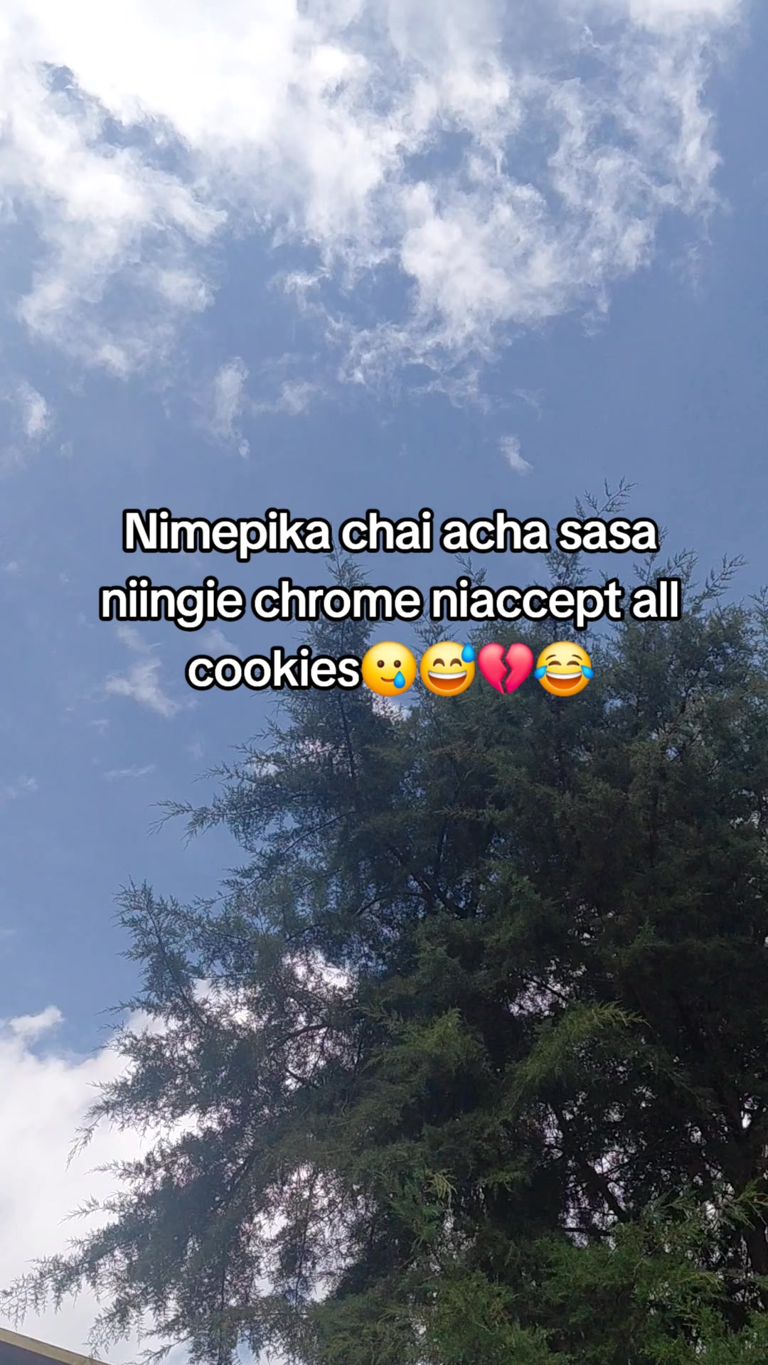 @joemax🥷