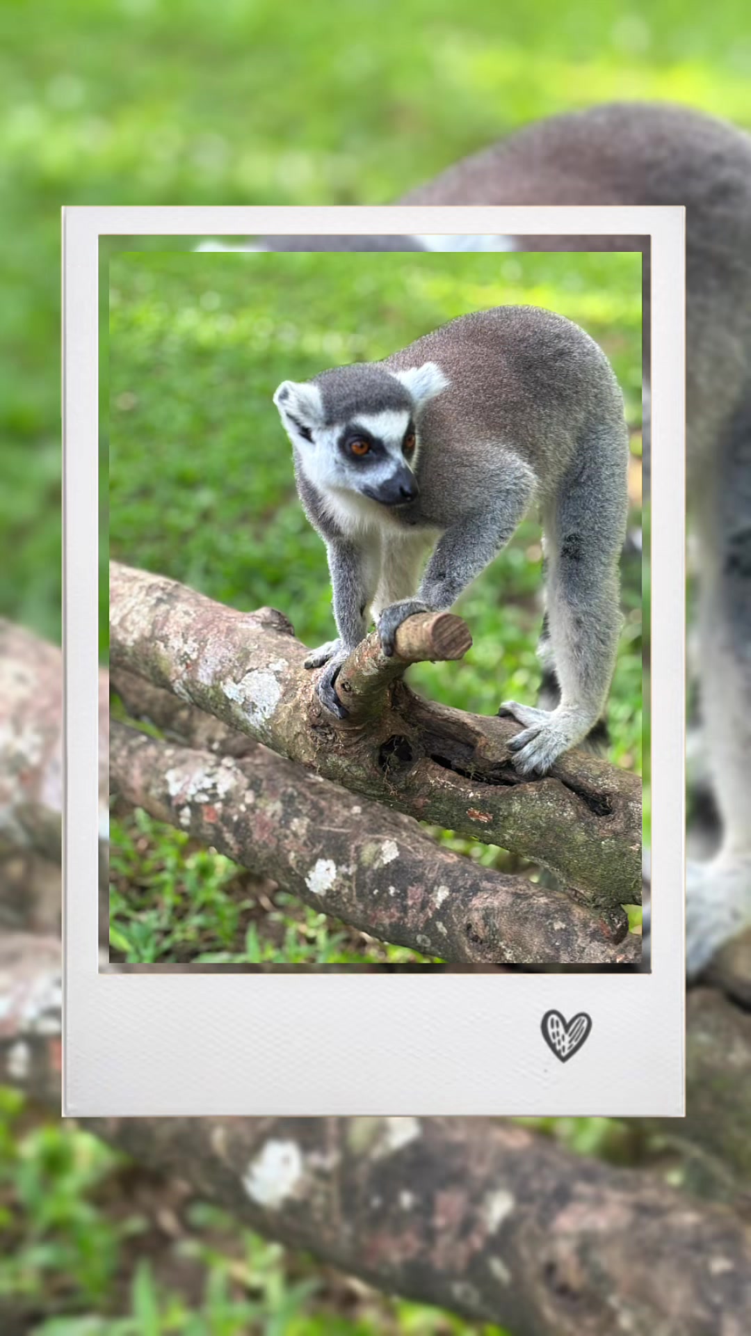 @Carla - OneTravelClub