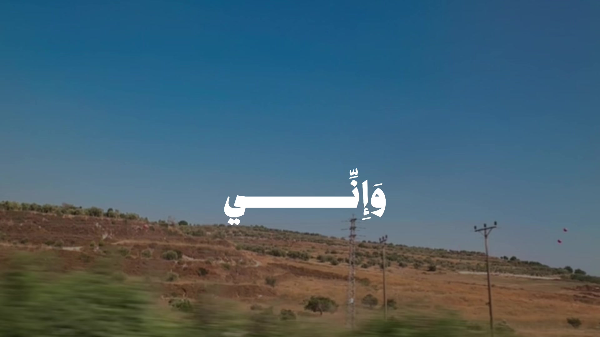 @Tala Zaghal
