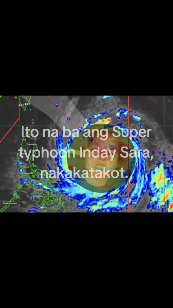 @Edit🐱Rainnnn