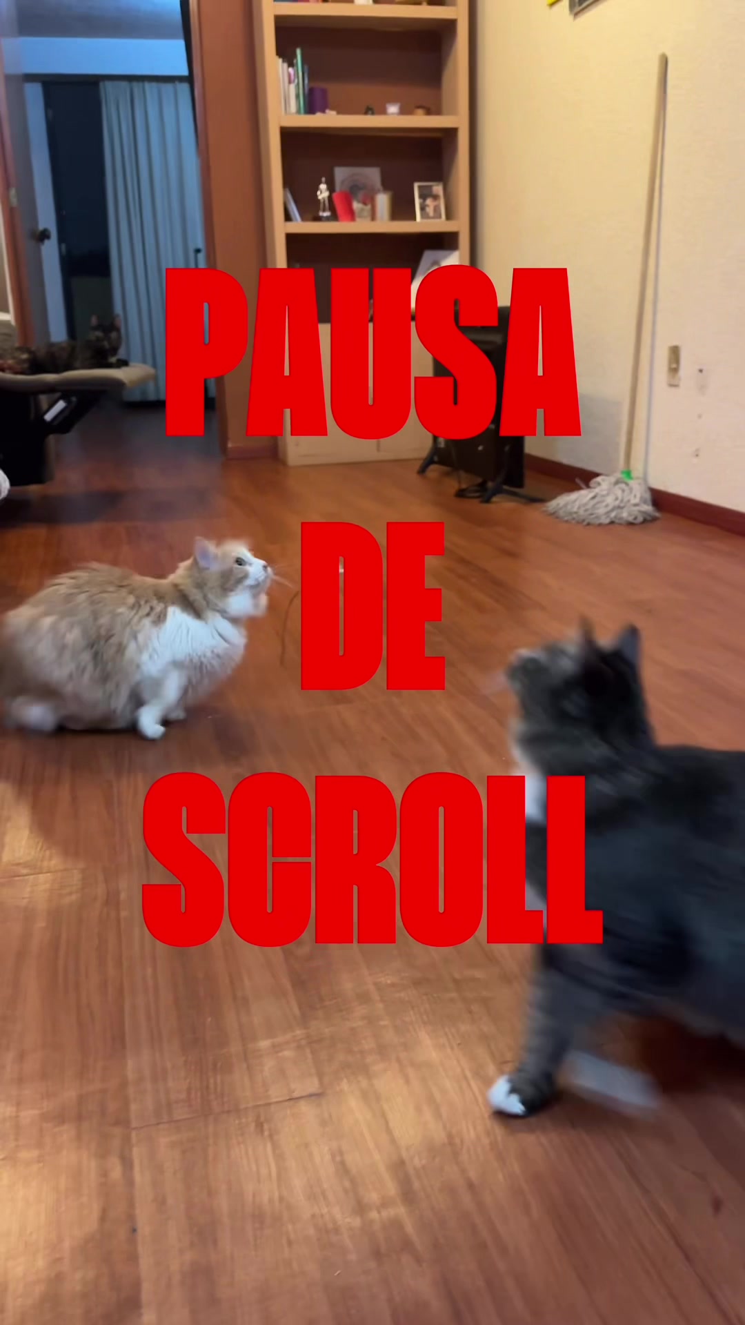 @La Inge te lo explica