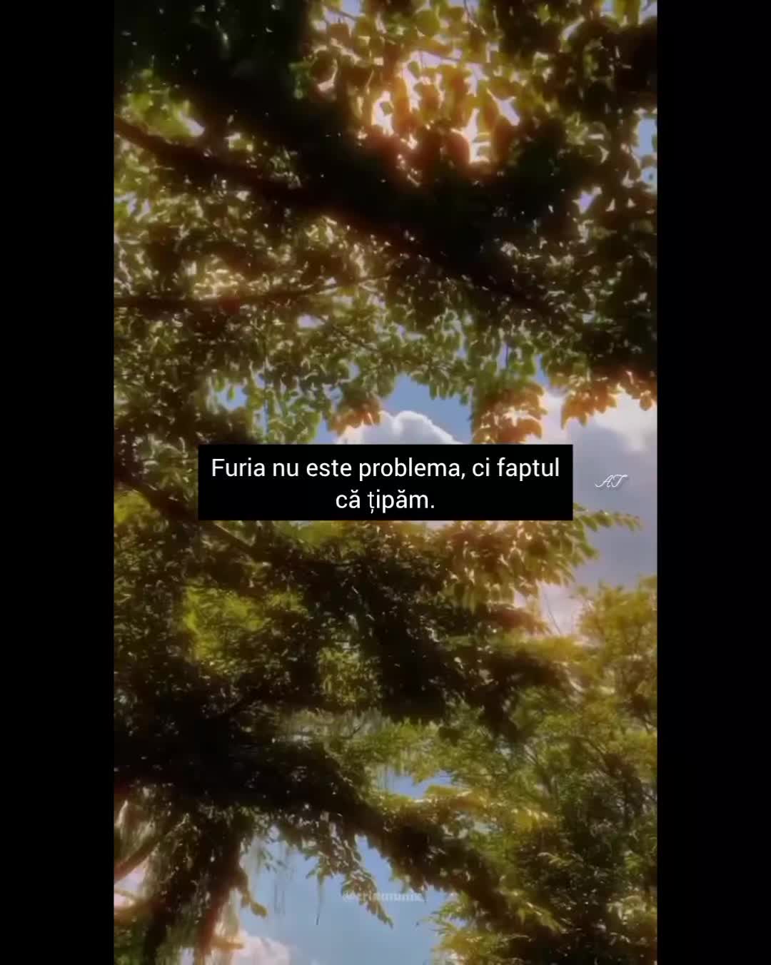 @AncuTane