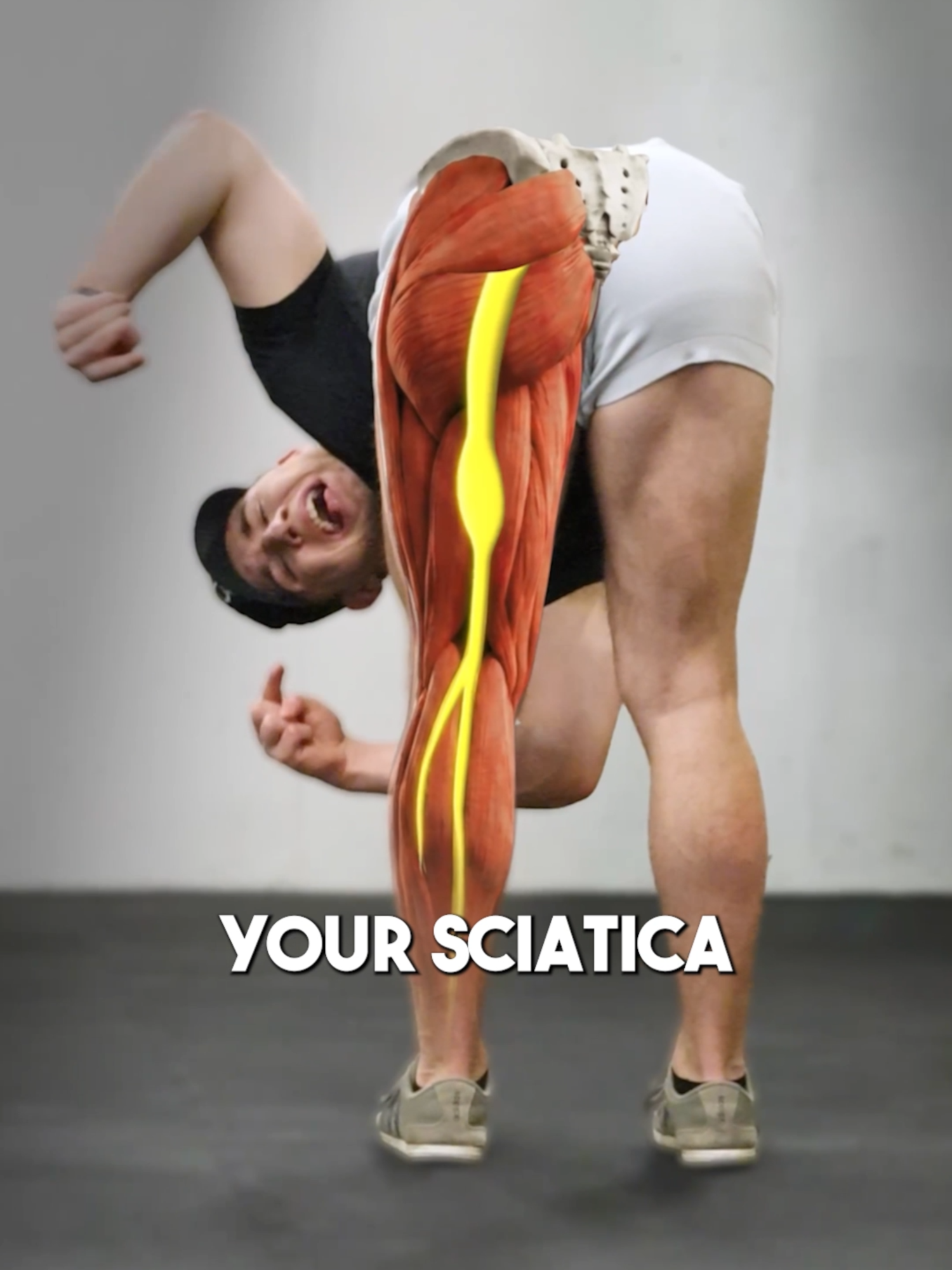 @Recover Pain