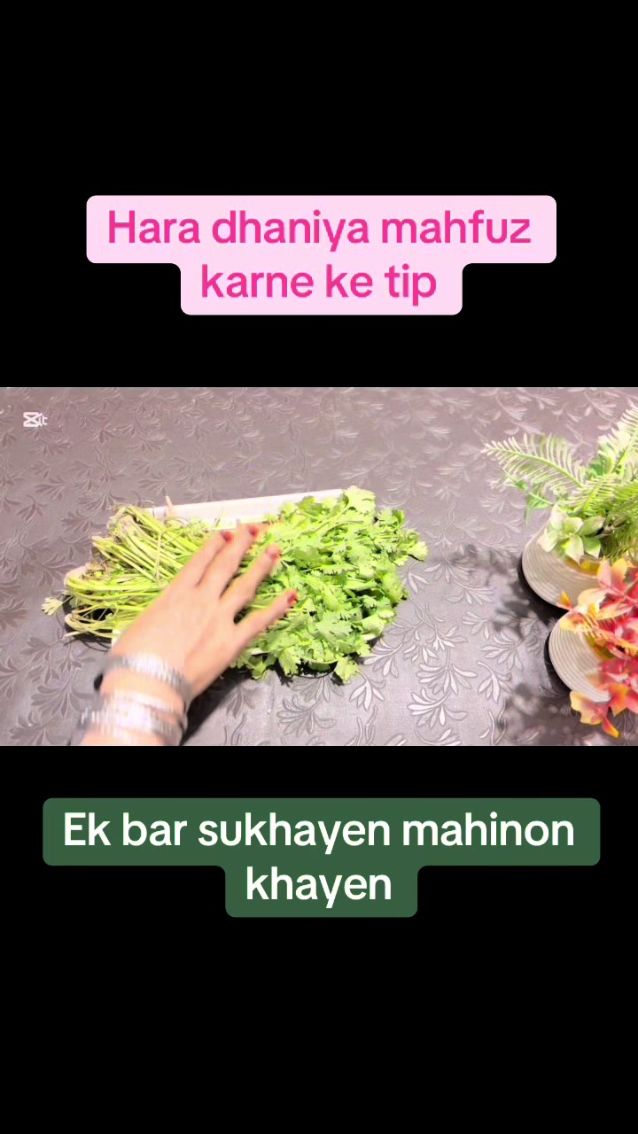 @Life Hacks