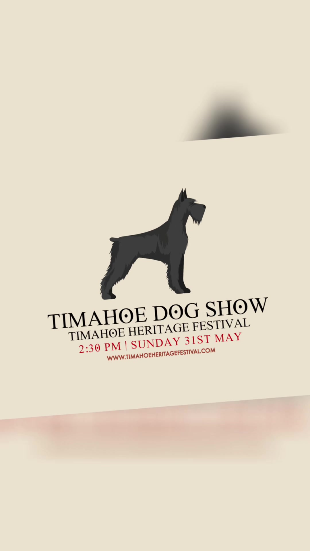 @Timahoe Heritage Festival