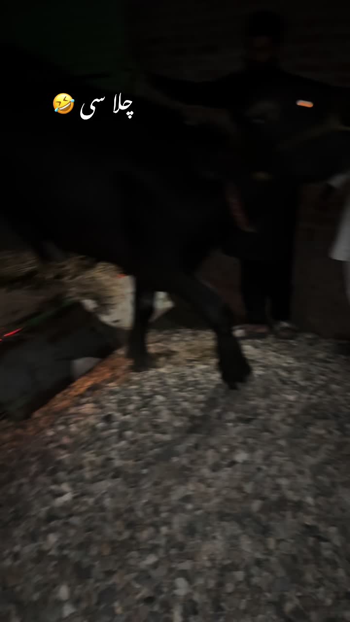 @￼