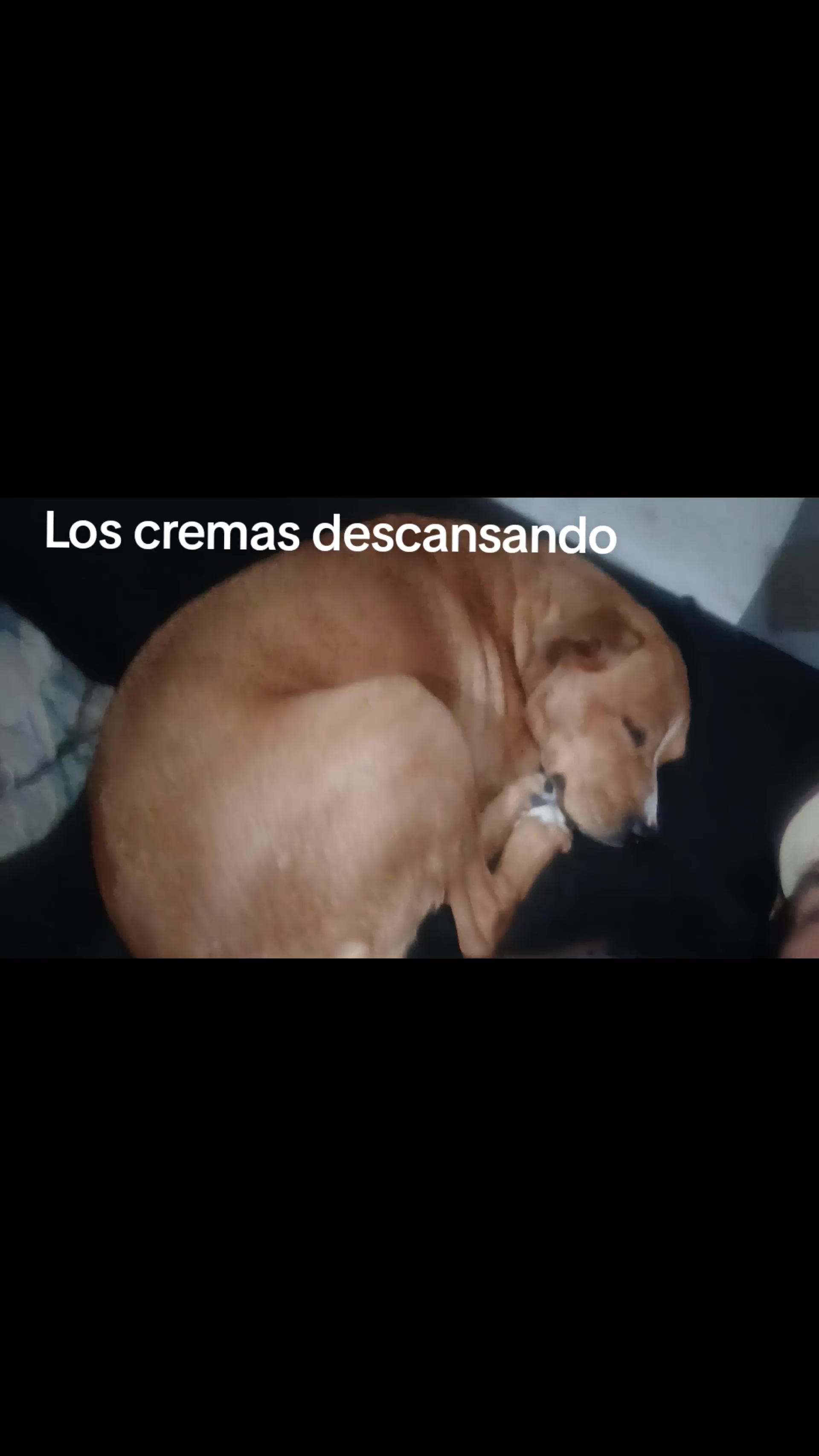 @Raul Alarc&oacute;n Miranda
