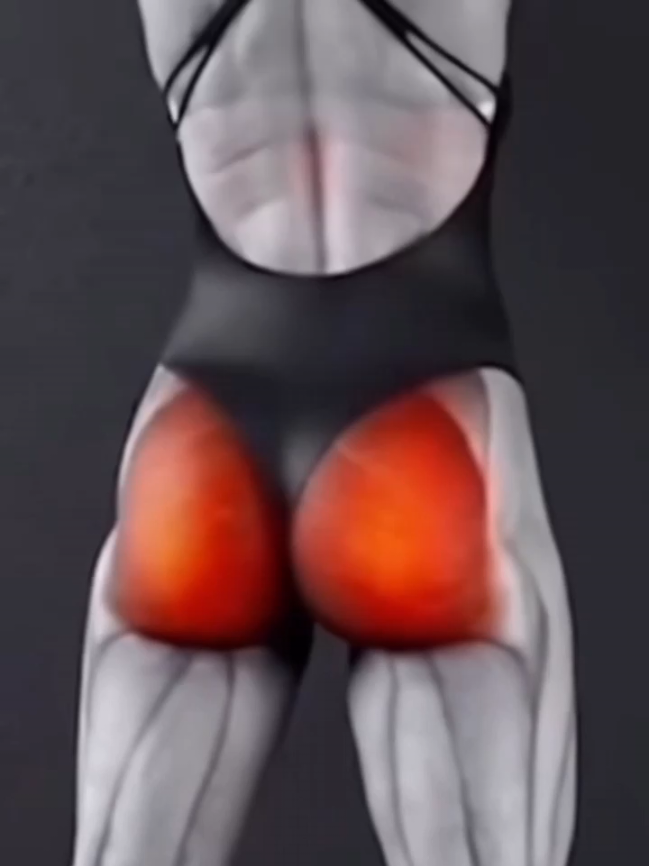 @FITMOTION