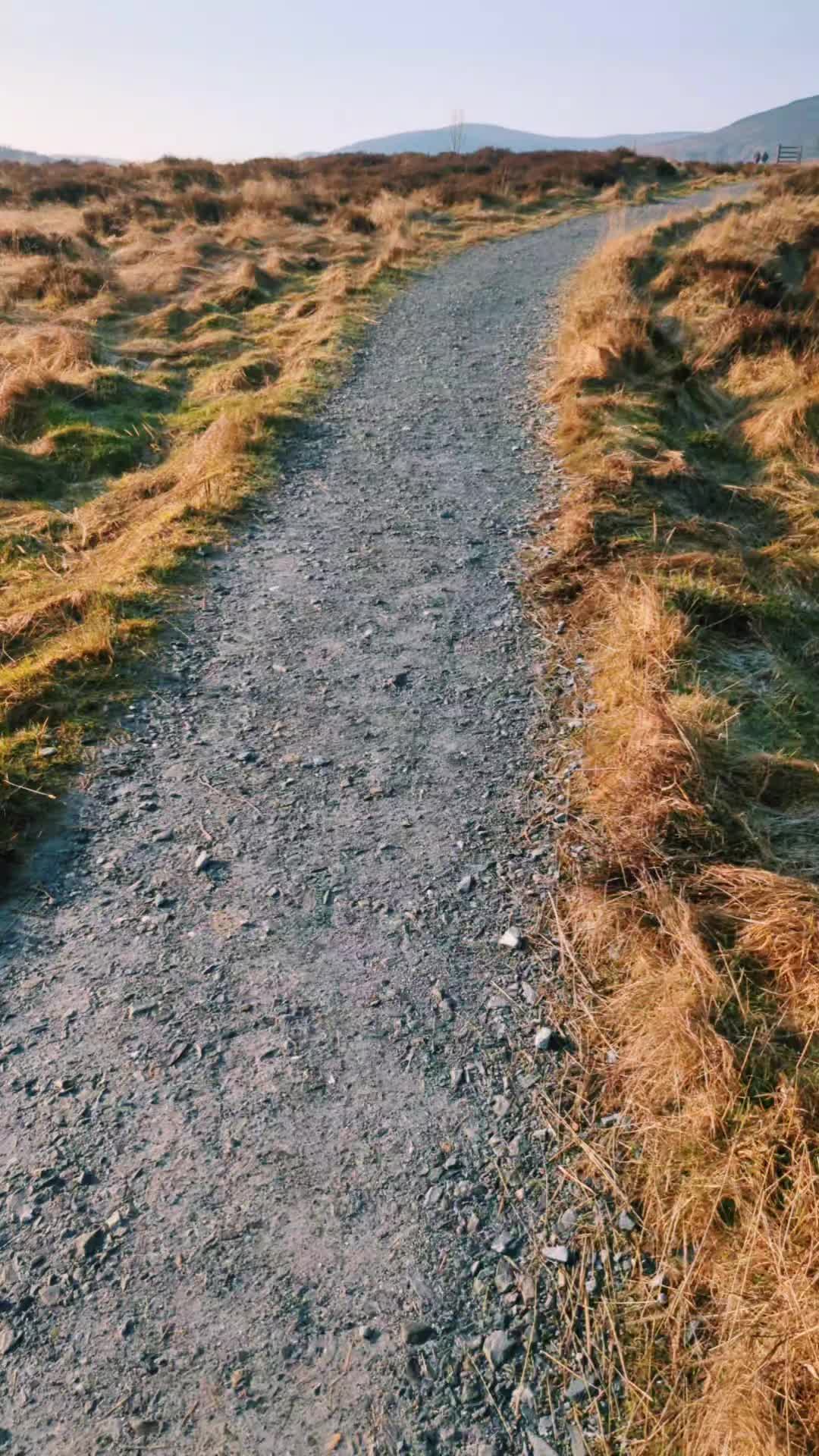 @RoosterDré