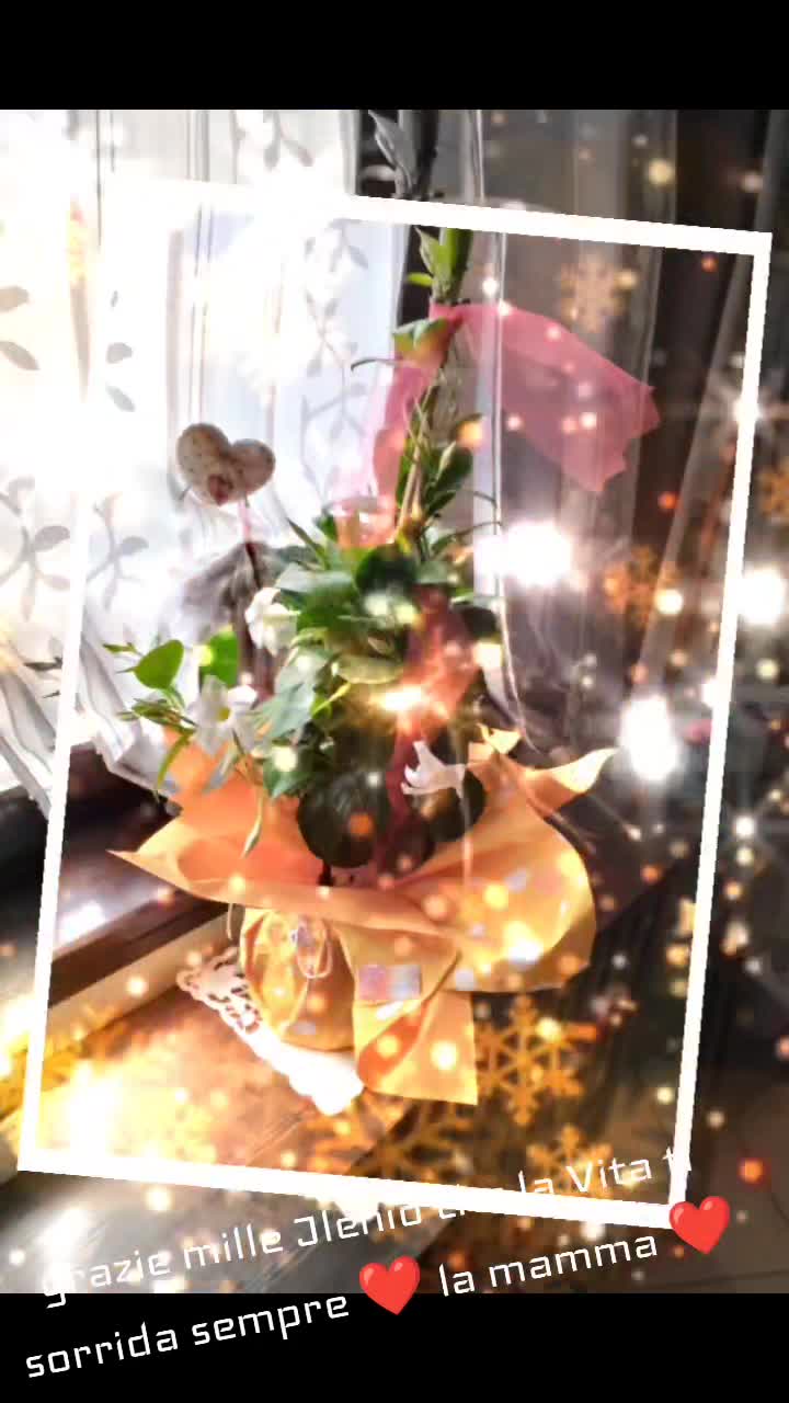 @Caterina.Zanni204