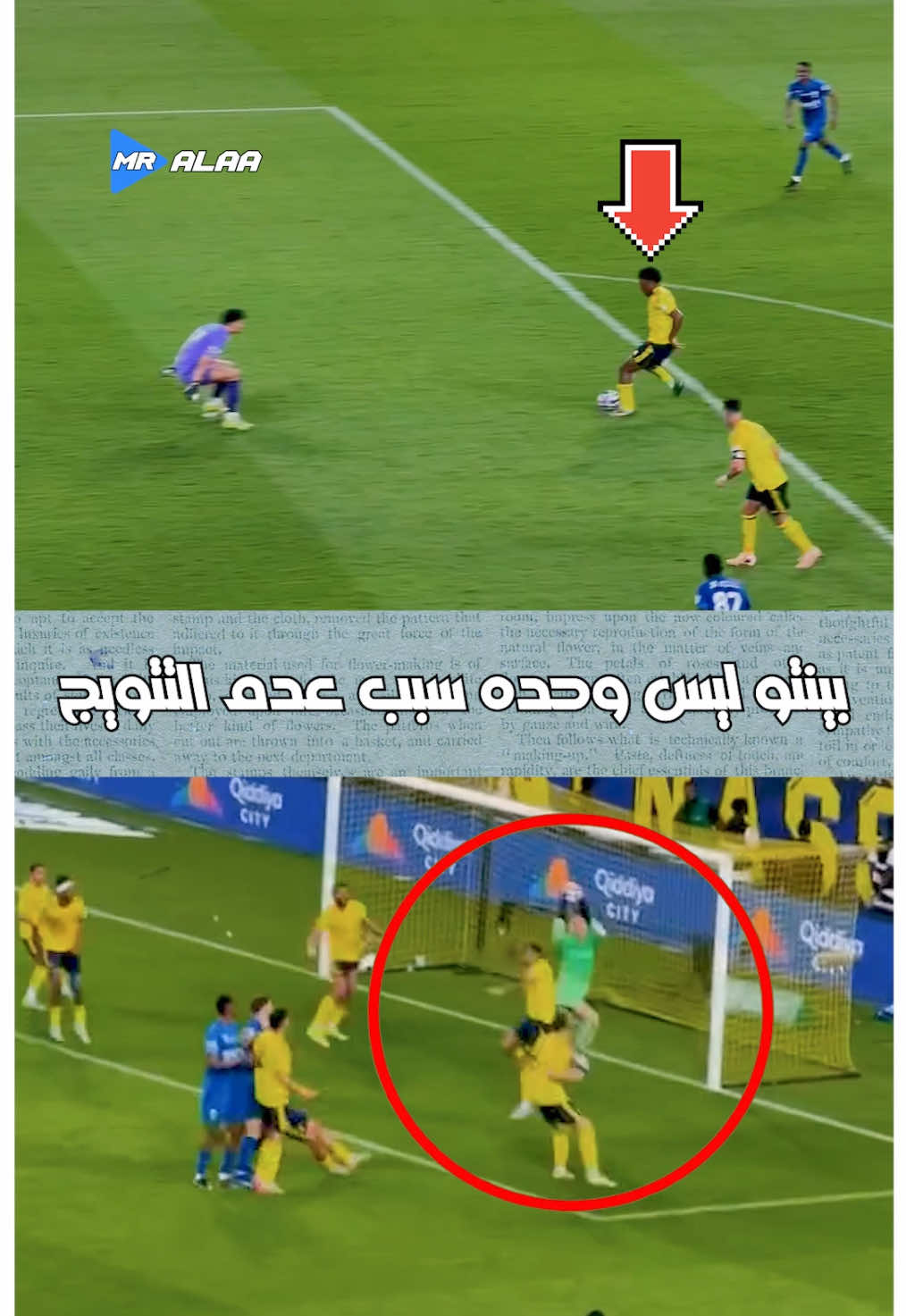 @Mister Alaa