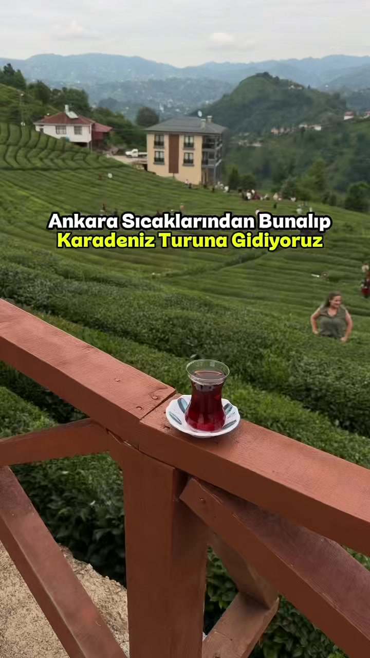 @ikielinsesi