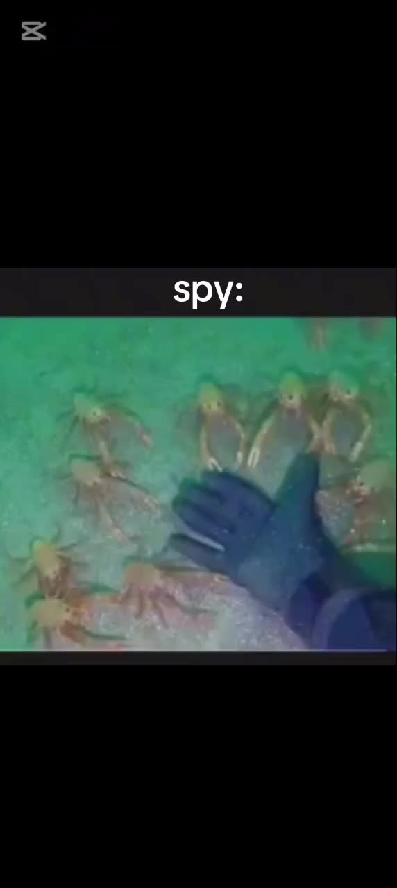 @mort